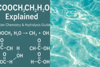HCOOCH CH2 H2O